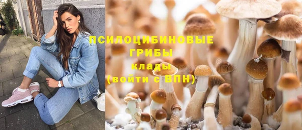 таблы Вяземский