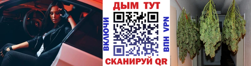 Шишки марихуана гибрид  Инта 